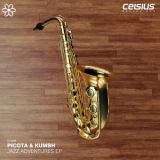 Picota & Kumbh - Jazz Adventures EP '2020