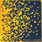 Pinegrove - Marigold '2020