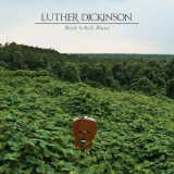 Luther Dickinson - Rock n Roll Blues '2014