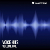 VA - Voice Hits Vol. 1 '2017