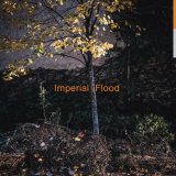 Logos - Imperial Flood '2019