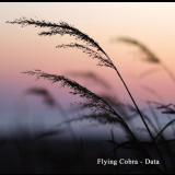 Flying Cobra - Data '2019