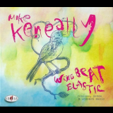 Mike Keneally - Wing Beat Elastic - Remixes, Demos & Unheard Music '2013