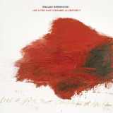 Eraldo Bernocchi - Like a Fire That Consumes All Before It '2018
