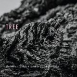 Tree - Between a Rock and a Hard Place '2019