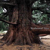 Angela Maria - Redwood Tree '2019