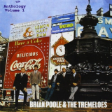 Brian Poole & The Tremeloes - Big Big hits Of 62 '1995