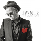 Shawn Mullins - My Stupid Heart '2015