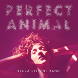 Becca Stevens Band - Perfect Animal '2015