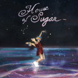 (Sandy) Alex G - House of Sugar '2019
