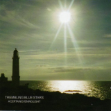 Trembling Blue Stars - A Certain Evening Light (Uncollected Recordings 1996-2002) '2003