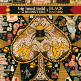 Big Head Todd and The Monsters - Black Beehive '2014
