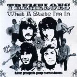 Tremeloes, The - What a State Im In: The Psych-Pop Sessions '2003