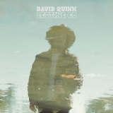 David Quinn - Letting Go '2020