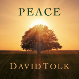David Tolk - Peace '2020