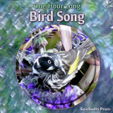 Sambodhi Prem - One Hour Long Bird Song '2007