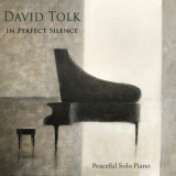 David Tolk - In Perfect Silence '2018