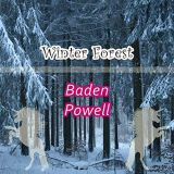Baden Powell - Winter Forest '2018