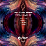Salvatore Bruno - Destinys Wild EP '2018