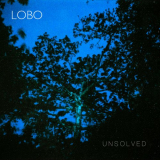 Lobo - Unsolved '2019