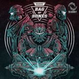 Audio - Bag Of Bones '2013