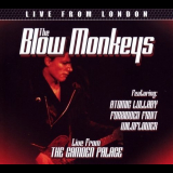 Blow Monkeys, The - Live From London '2016