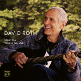 David Roth - Meet You Where You Are '2020