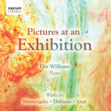 Llyr Williams - Pictures '2010
