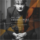 Ant Law - Entanglement '2013
