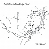 Clap Your Hands Say Yeah - The Tourist '2017