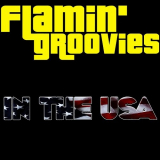Flamin' Groovies - In The USA '2010
