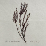 Hawktail - Place of Growth '2022