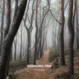 Hornung Trio - Strukturen '2022