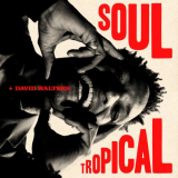 David Walters - Soul Tropical '2023