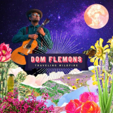 Dom Flemons - Traveling Wildfire '2023