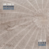 LRK Trio - Concert at Vdnh Cosmos (Live) '2023