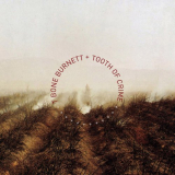 T Bone Burnett - Tooth of Crime '2008