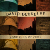 David Berkeley - Some Kind of Cure '2011