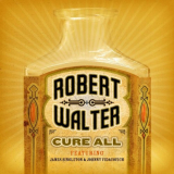 Robert Walter - Cure All '2008
