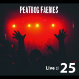 Peatbog Faeries - Live @ 25 '2017