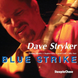 Dave Stryker - Blue Strike '2011