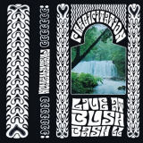 Precipitation - Live At BushBash II '2024