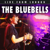 Bluebells, The - Live From London '2016 / 2024