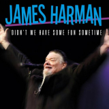 James Harman - Didn't We Have Some Fun Sometime '2024