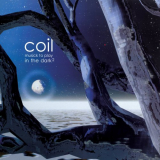 Coil - Musick To Play In The DarkÂ² '2000/2022