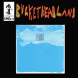 Buckethead - Home In The Sky '2024