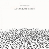 Motionfield - A Flock Of Birds '2024