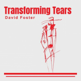 David Foster - Transforming Tears '2024