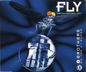 Fly (Through The Starry Night)