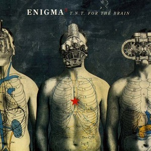 T.N.T. For The Brain [CDS]